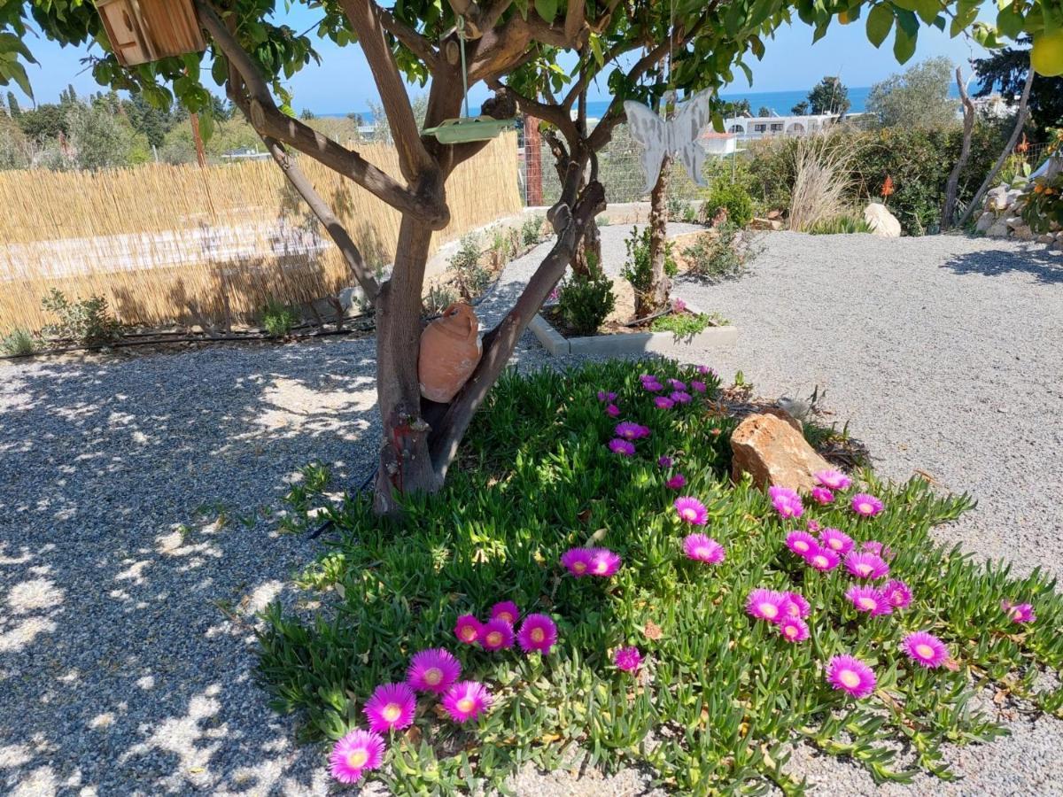 Holiday home Ktima Natura Archangelos (Rhodes)